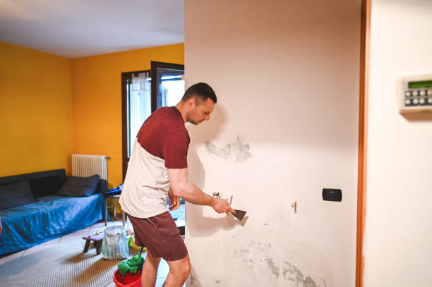 Cornwells Heights, PA Mold Remediation Company